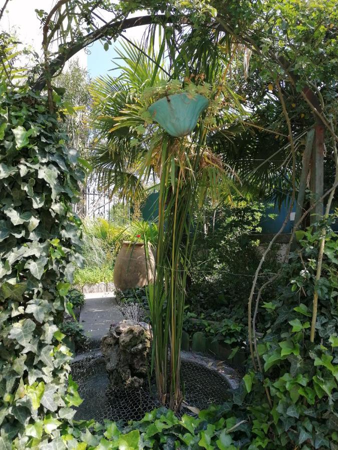 נרבון Villa Sainte Marie מראה חיצוני תמונה