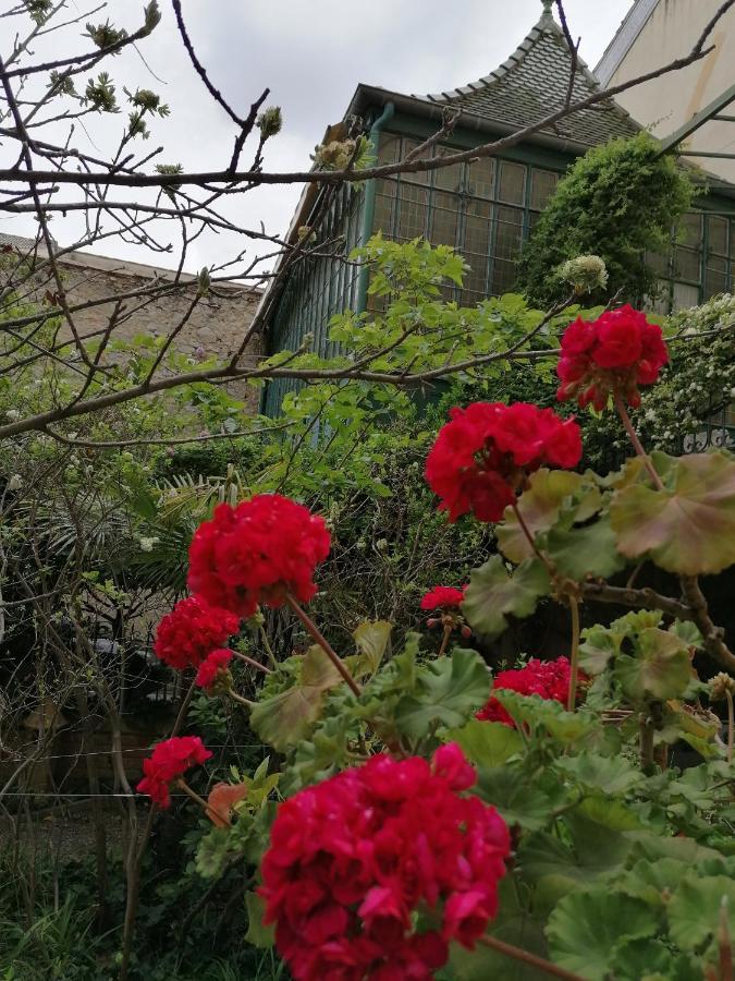 נרבון Villa Sainte Marie מראה חיצוני תמונה