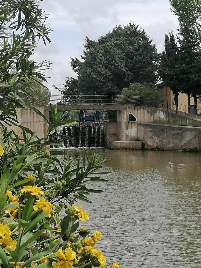 נרבון Villa Sainte Marie מראה חיצוני תמונה