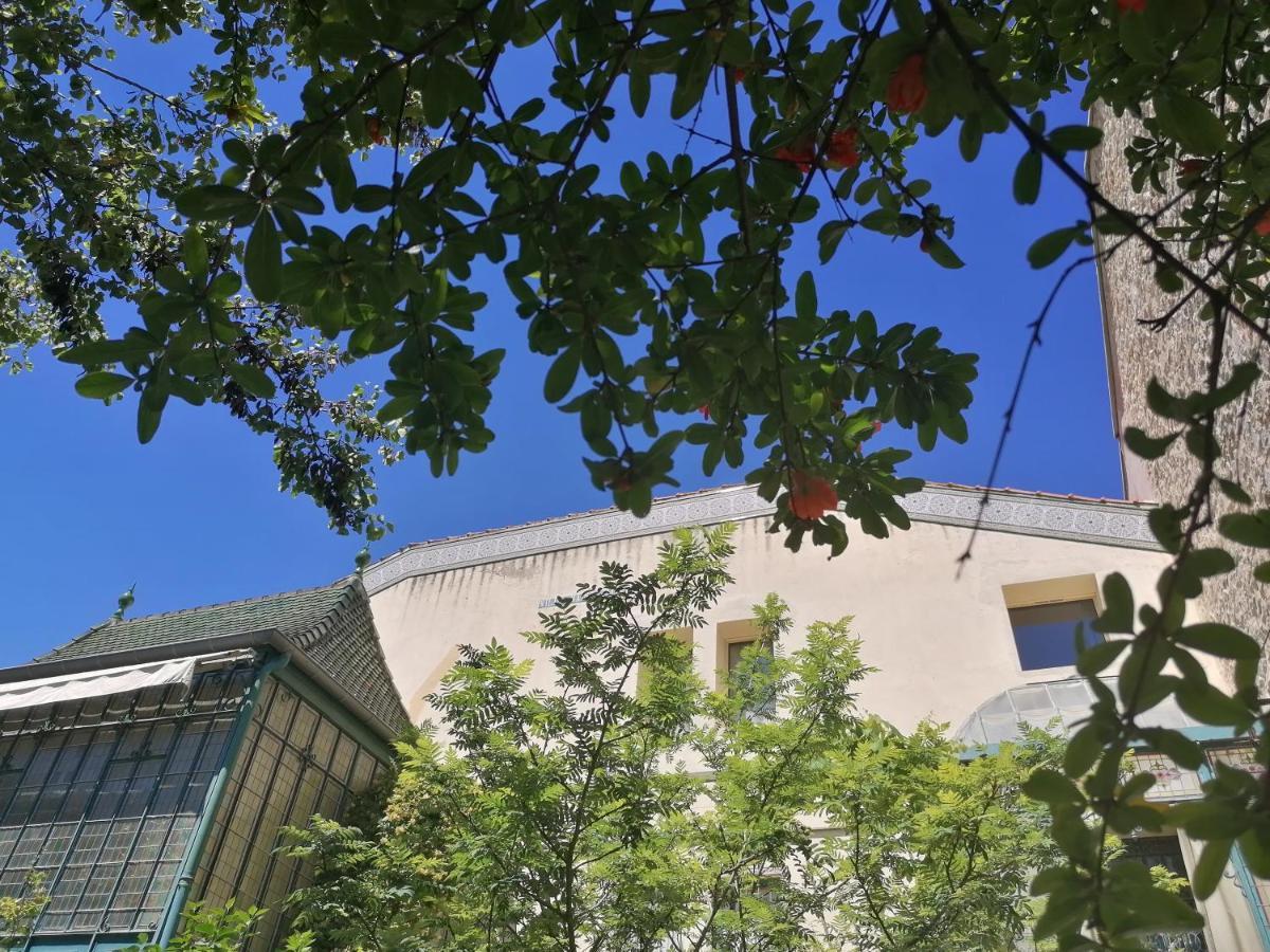 נרבון Villa Sainte Marie מראה חיצוני תמונה